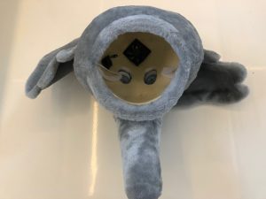 Elefanten Maskottchen Kostüm Produktion Herstellung und günstig kaufen